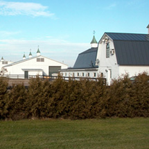 bellevue stables - facilities