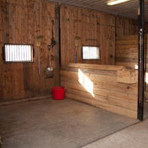 bellevue stables - grooming stalls