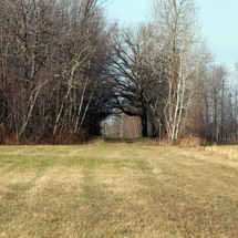 bellevue stables - riding trails