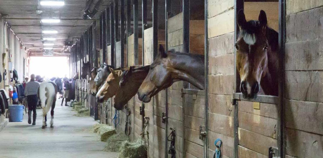 Inside Bellevue Stables
