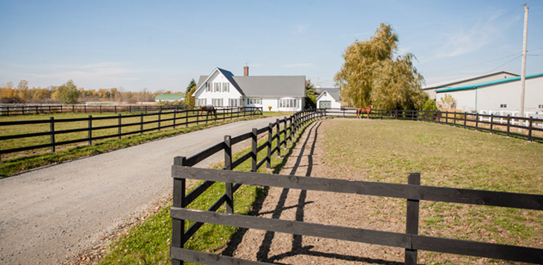 bellevue stables