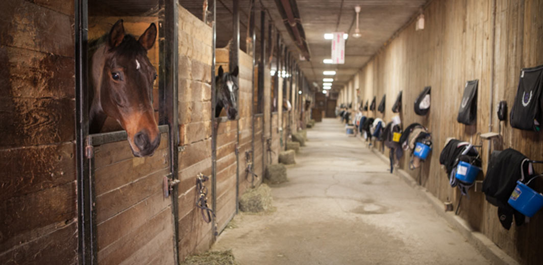 paddocks